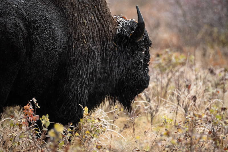 When will the Rain Stop by Doug Derksen